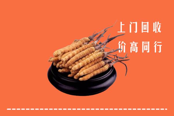 收购行情：锦江区冬虫夏草回收多少钱每克