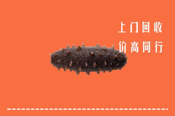 收购行情：锦江区回收海参
