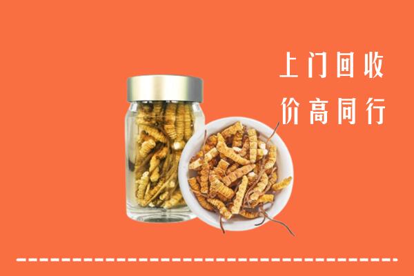 锦江区高价回收冬虫夏草