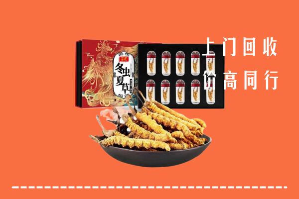 锦江区回收虫草